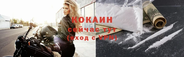 шишки Болотное