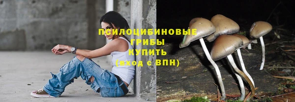 прущая мука Болохово