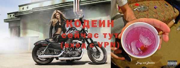 шишки Болотное