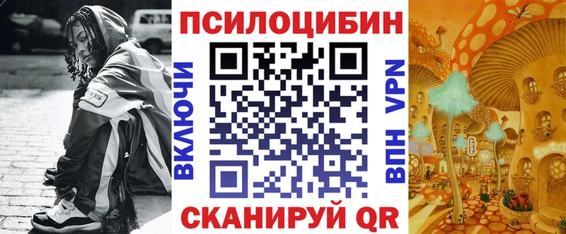 blacksprut как войти  Данилов  Псилоцибиновые грибы Magic Shrooms 